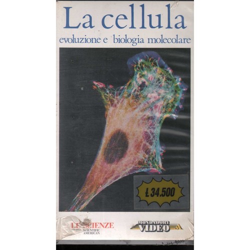 Cellula evoluzione e - la,