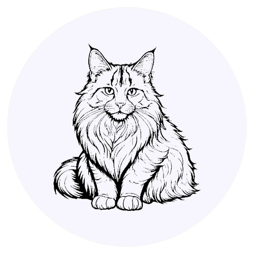 Adesivi maine coon cat - adesivi, cat'