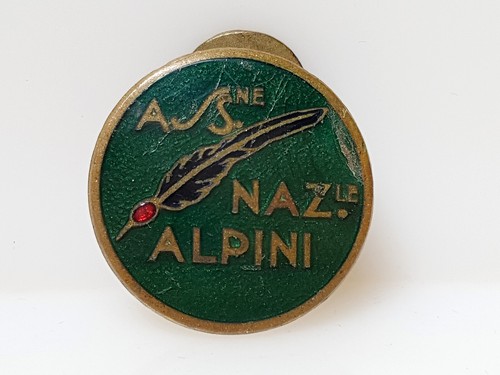 Spilla giacca associazione - spilla,