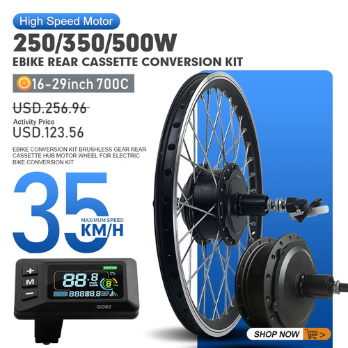 Bicicletta elettrica montagna