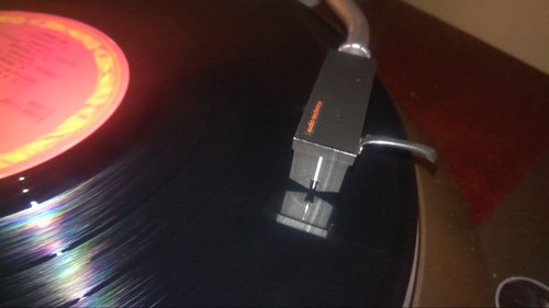 Cartuccia denon 103 - denon, dl-103