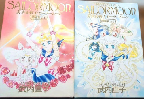Sailor moon illustration art - moon,