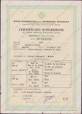 1957 Ente Nazionale Cinofilia Benassati Modena Pedigree epagneul breton
