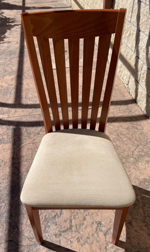 Sedia legno color - sedia, legno,