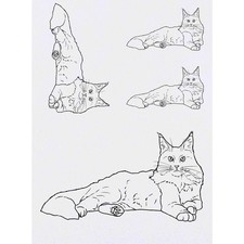 4 tatuaggi/trasferimenti