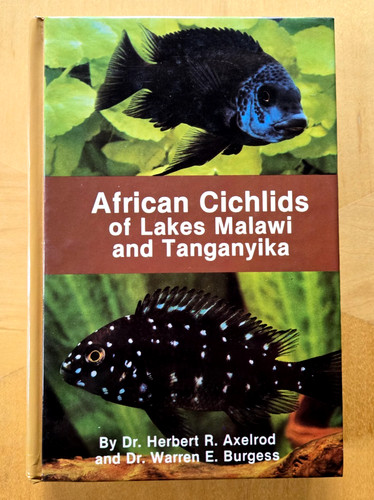 African cichlids lakes - african,