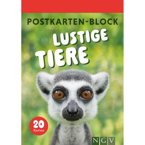 Blocco cartoline animali - blocco,