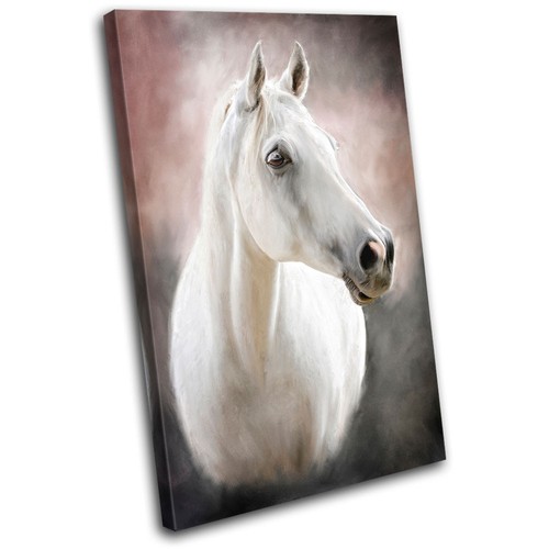 White horse animals single - horse,