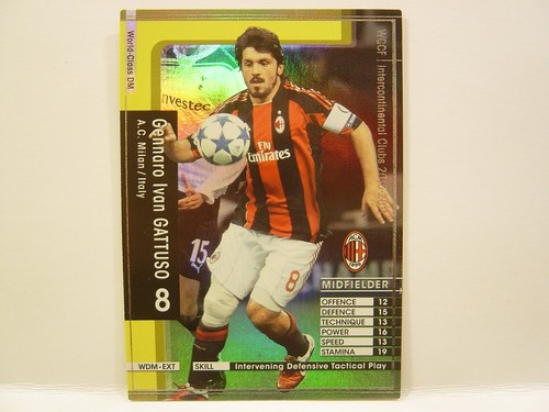 Panini wccf 2010 - 2010-11, wdm