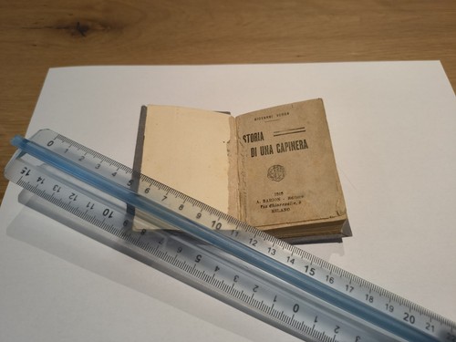 Mini libro verga - libro, storia