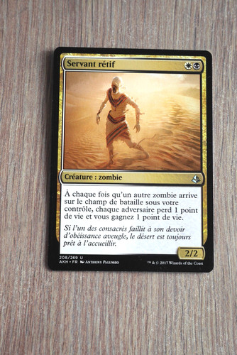 Carte magic mtg servant - mtg,