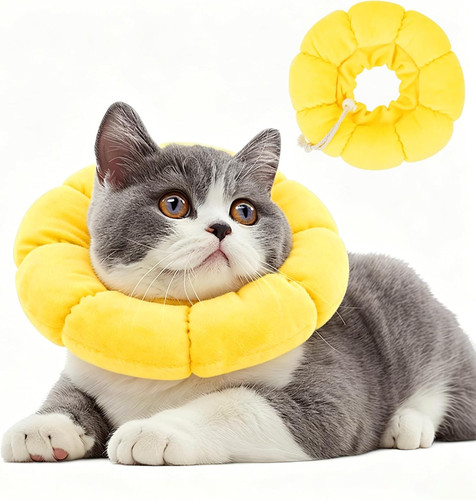 Collare elisabettiano gatto - collare,