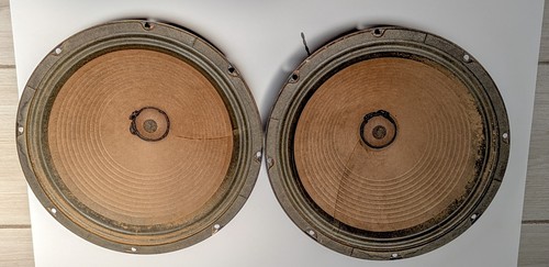 Coppia diffusori chitarra