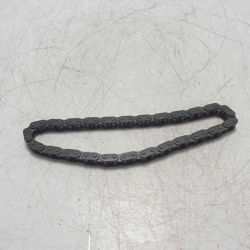 Catena distribuzione motore