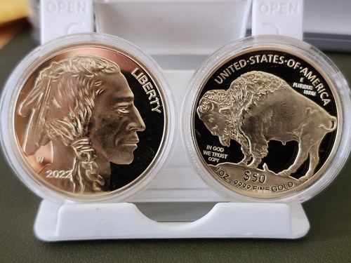 Moneta dollari testa - moneta,