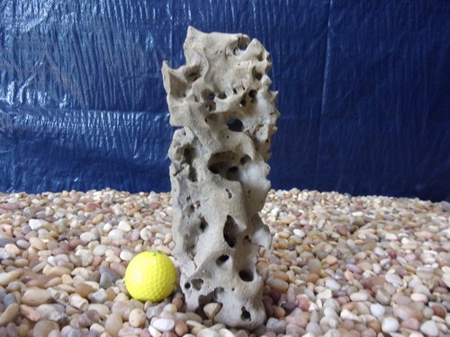 Texas holey rock - holey,