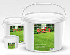 SEMI PRATO resistente sementi prato resistenti alla siccità RESISTENTE CALPESTIO