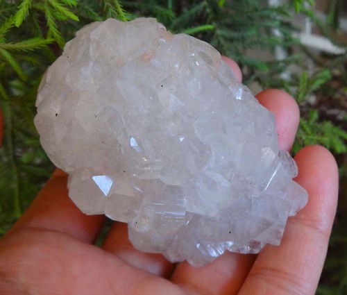 Quarzo cristalli di - mm, su