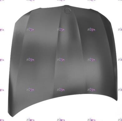 Cofano anteriore - cofano,