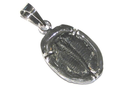 Ciondolo trilobite fossile - ciondolo,