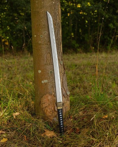Mytholon musashi wakizashi - wakizashi, ii