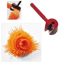 Tempera carote professionale