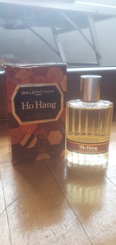 Hang balenciaga - hang,