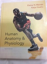 Human Anatomy & Physiology
