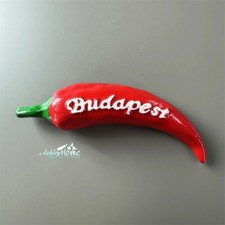 Budapest Ungheria Souvenir da