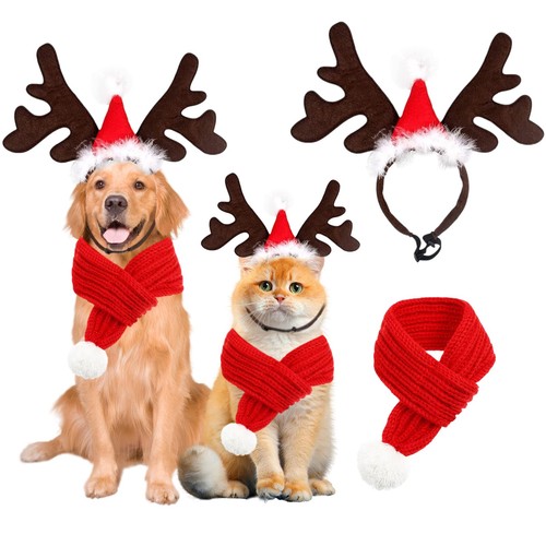 Moerstar accessori natale - accessori, cane