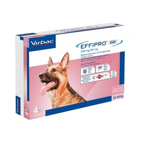 cani grandi