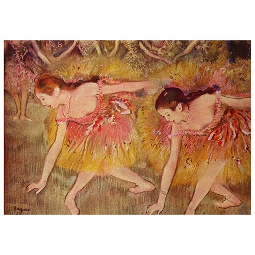 Stampa tela ballerine - ballerine, che