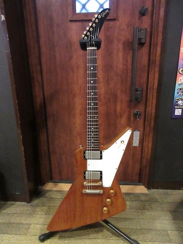 Gibson 1977 explorer - gibson, natural