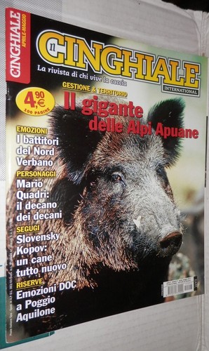 Cinghiale alpi apuane - cinghiale,