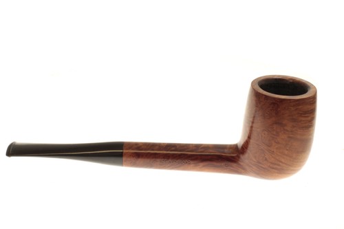 Pipa rodata royal stuart by - stuart,