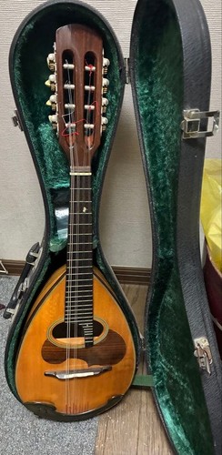 Corpo mandolino suzuki con - corpo,
