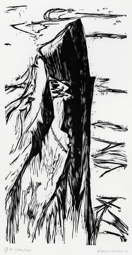 Schialvino gianfranco - schialvino,