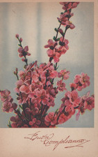 CARTOLINA  AUGURALE BUON