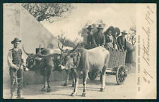 Siena città Costumi senesi carro buoi FORO cartolina TC0034