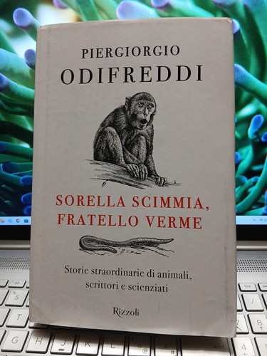 Sorella scimmia fratello - , verme