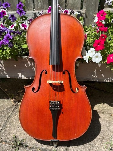 Violoncello moderno fatto - 4/4,