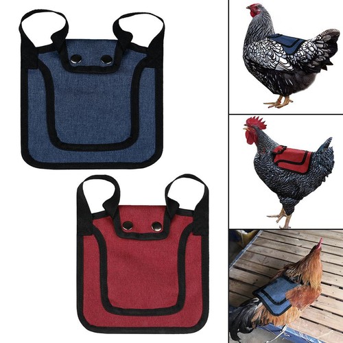 Pollo scopare con cinghie - pollo,