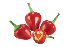 20 semi di PEPERONCINO NASO