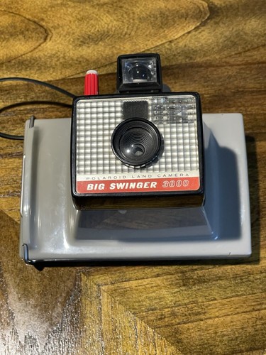 Polaroid big swinger land - swinger,