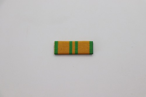 Nijmegen four day marches - four,