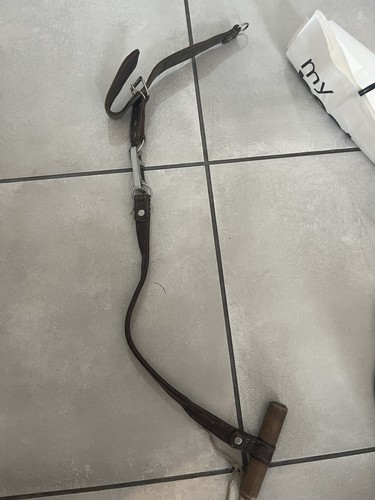 Slip piombo greyhound whippet - piombo,