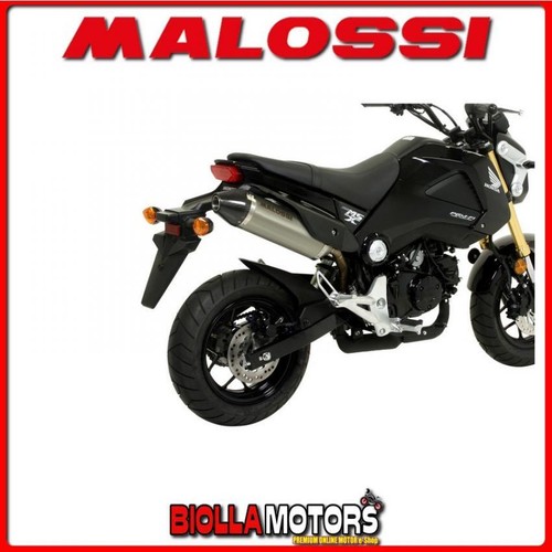 3216365 marmitta malossi - malossi, gp