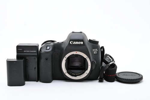 Ottime condizioni corpo - [ottime,