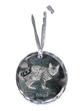 Bengala medaglione di