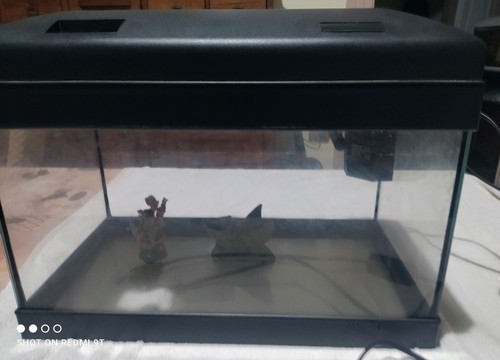 Acquario completo usato - completo,